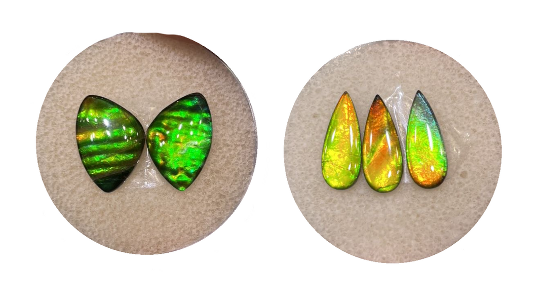 5pc Ammolite Triplet Set