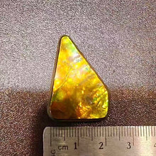 将图片加载到图库查看器，golden Freeform Ammolite
