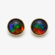 Load image into Gallery viewer, Ammolite Stud Earrings in 10K Gold AA
