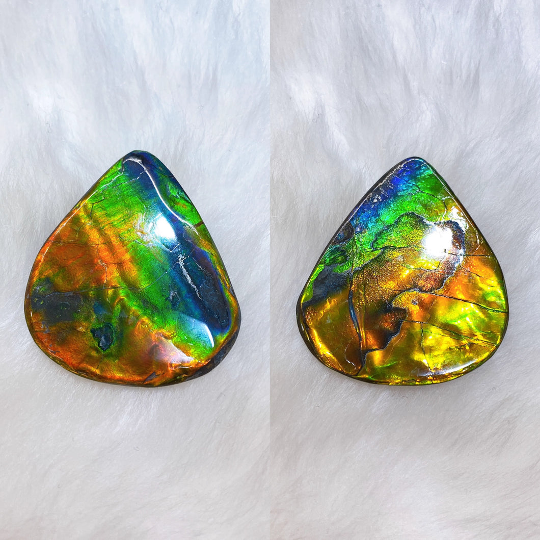 Double-sided Ammolite Unmounted Piece FNA0113