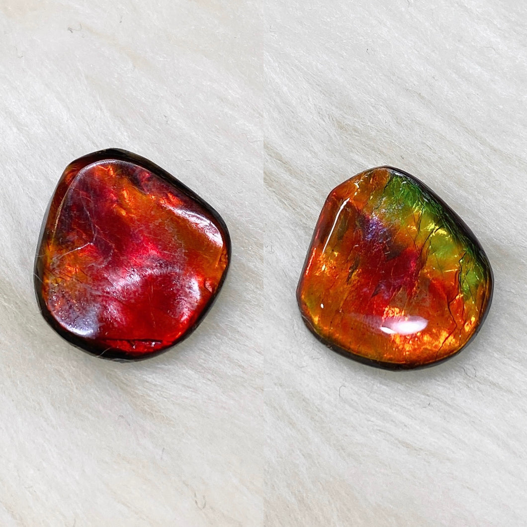 Double-sided Ammolite Unmounted Piece FNA0276