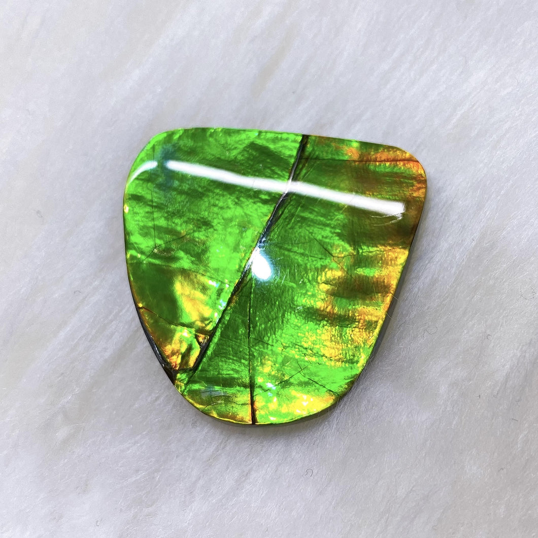 Freeform Ammolite FNA22098