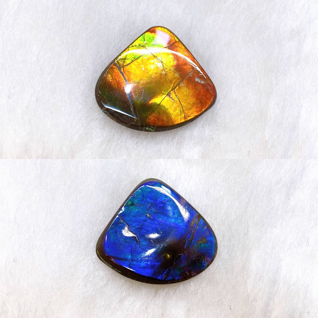 Double-sided Ammolite Unmounted Piece FNA22136