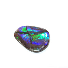 将图片加载到图库查看器，Freeform Ammolite FNA22139
