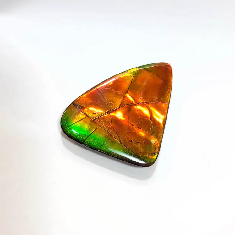 Freeform Ammolite FNA22146