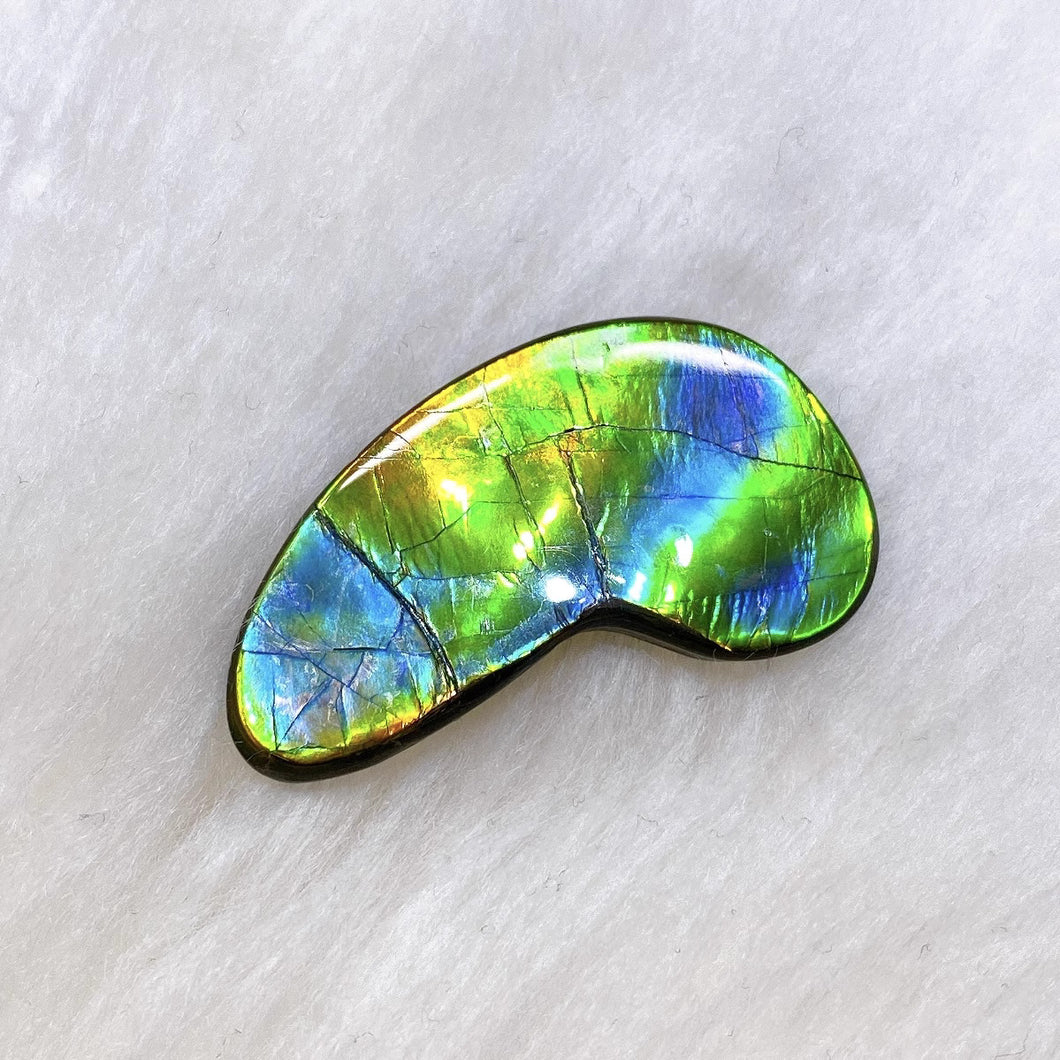 Freeform Ammolite FNCA22441