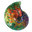 Ammolite Museum Canada logo