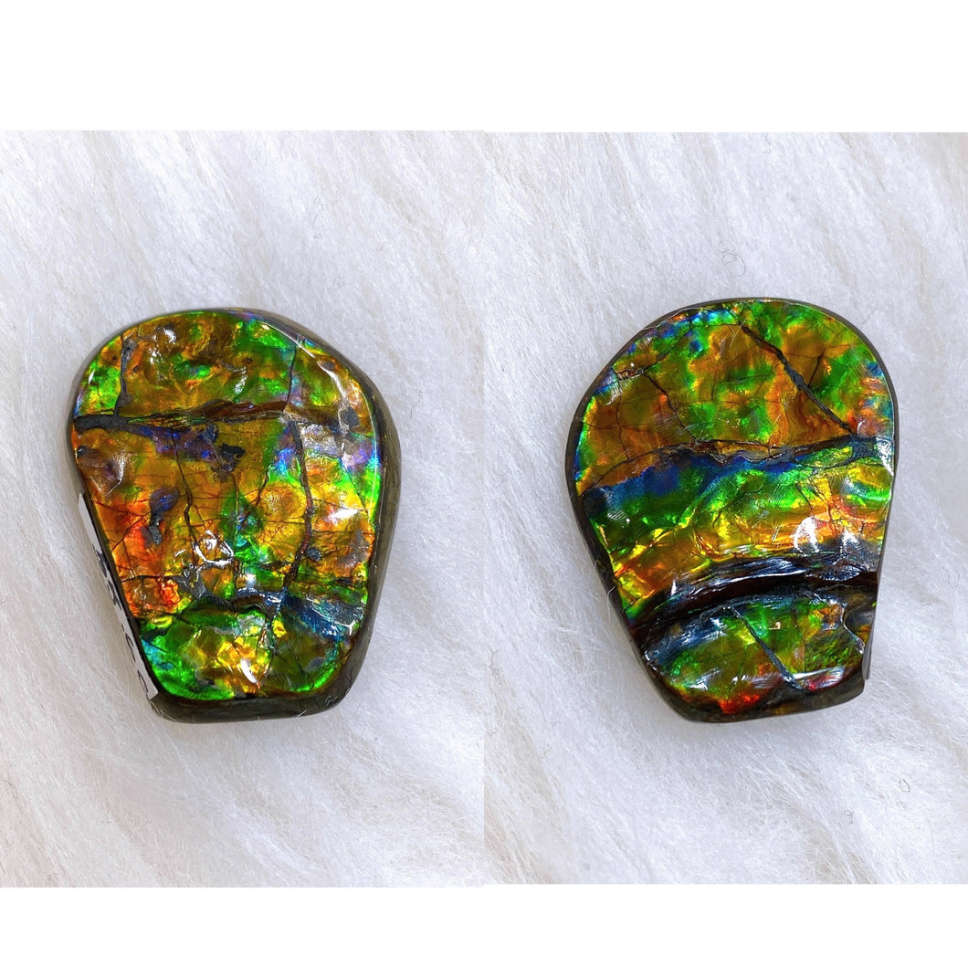 Double-sided Freeform Ammolite Unmounted Piece DSFF2207