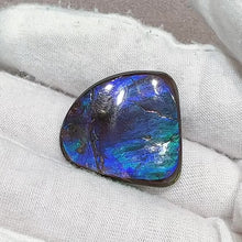 在图库查看器中加载和播放视频，Double-sided Ammolite Unmounted Piece FNA22136
