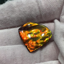 Load and play video in Gallery viewer, Freeform Ammolite Gemstone FNA0074
