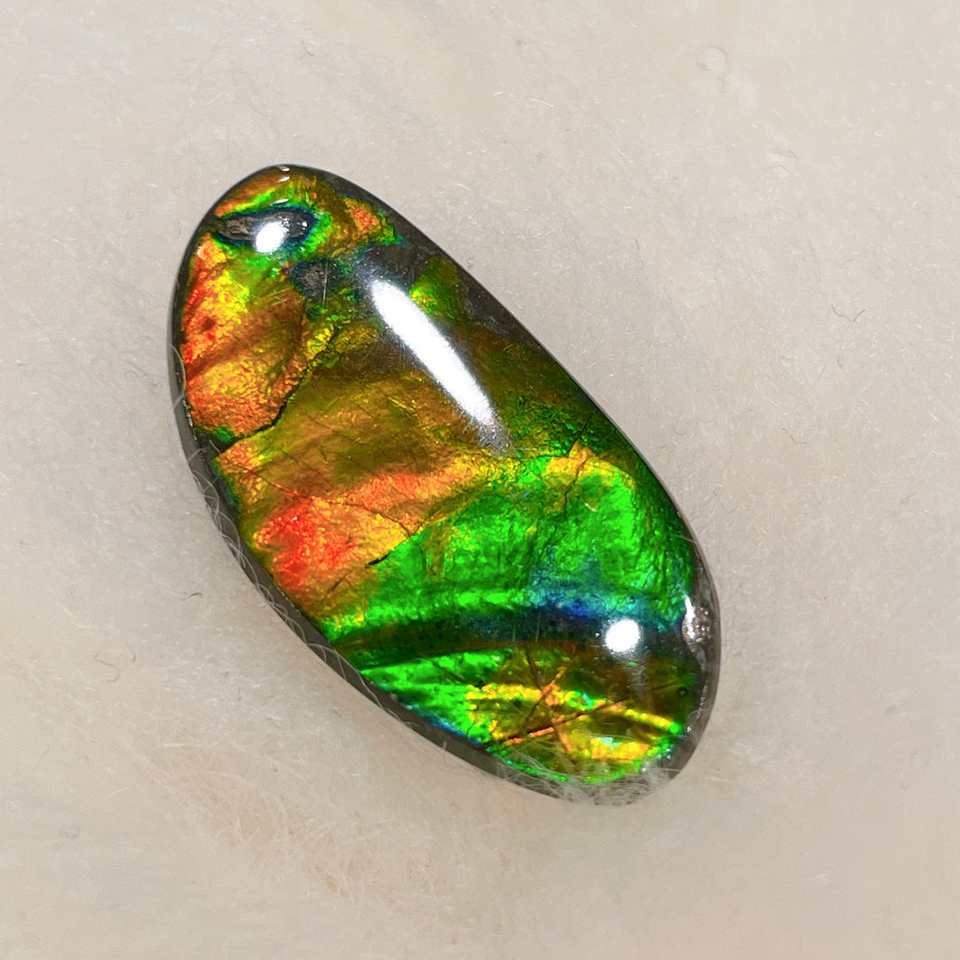 Freeform Ammolite Gemstone FNCA22409