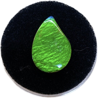 Freeform Ammolite Gemstone