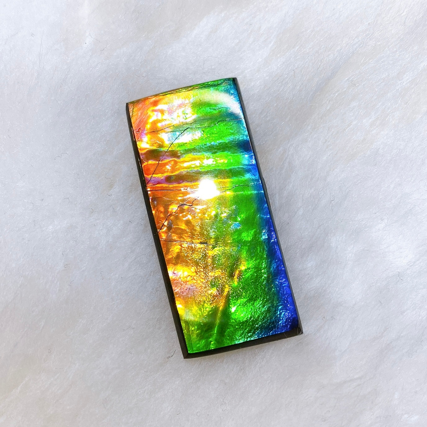 所有产品– 第6 页– Ammolite Museum