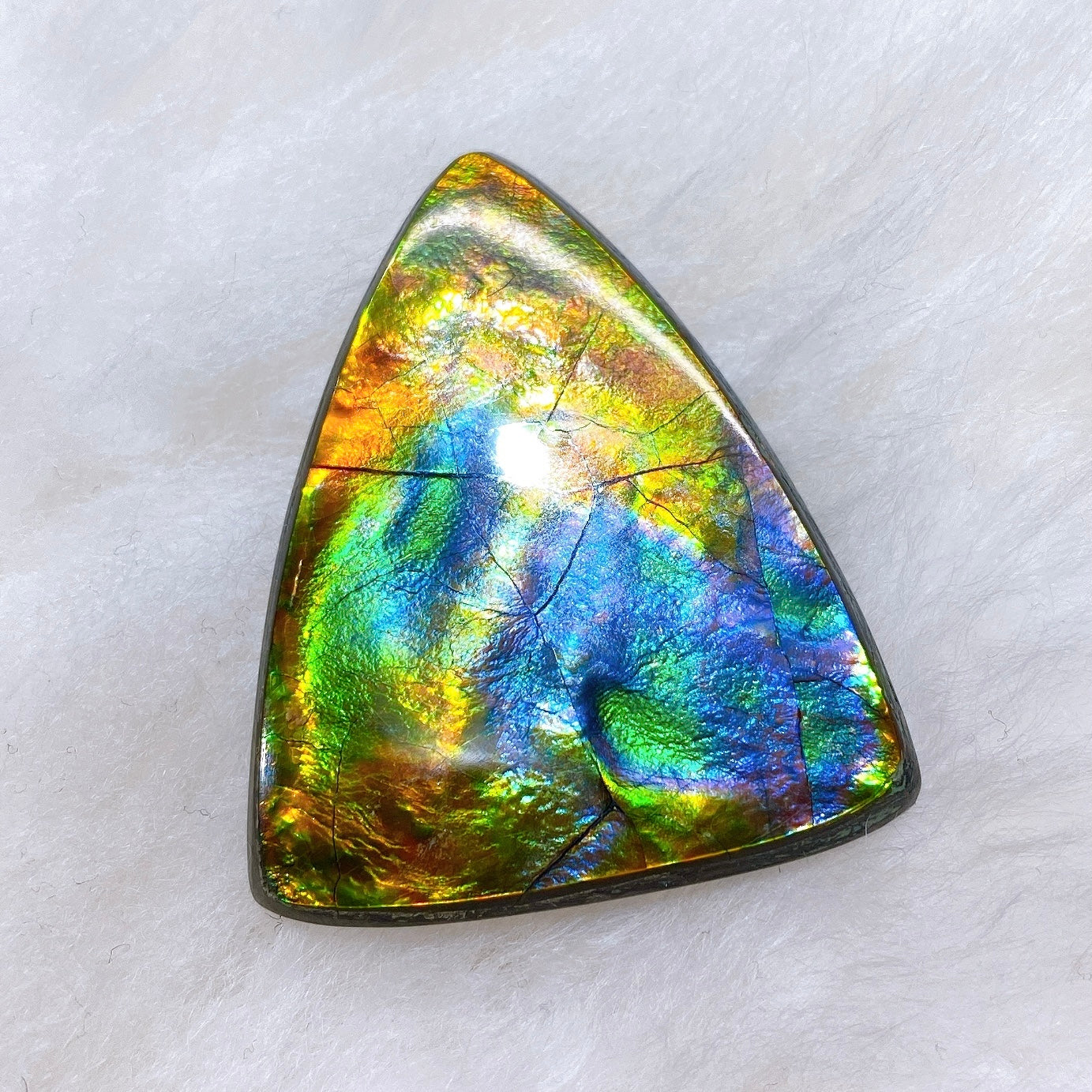 所有产品– 第6 页– Ammolite Museum