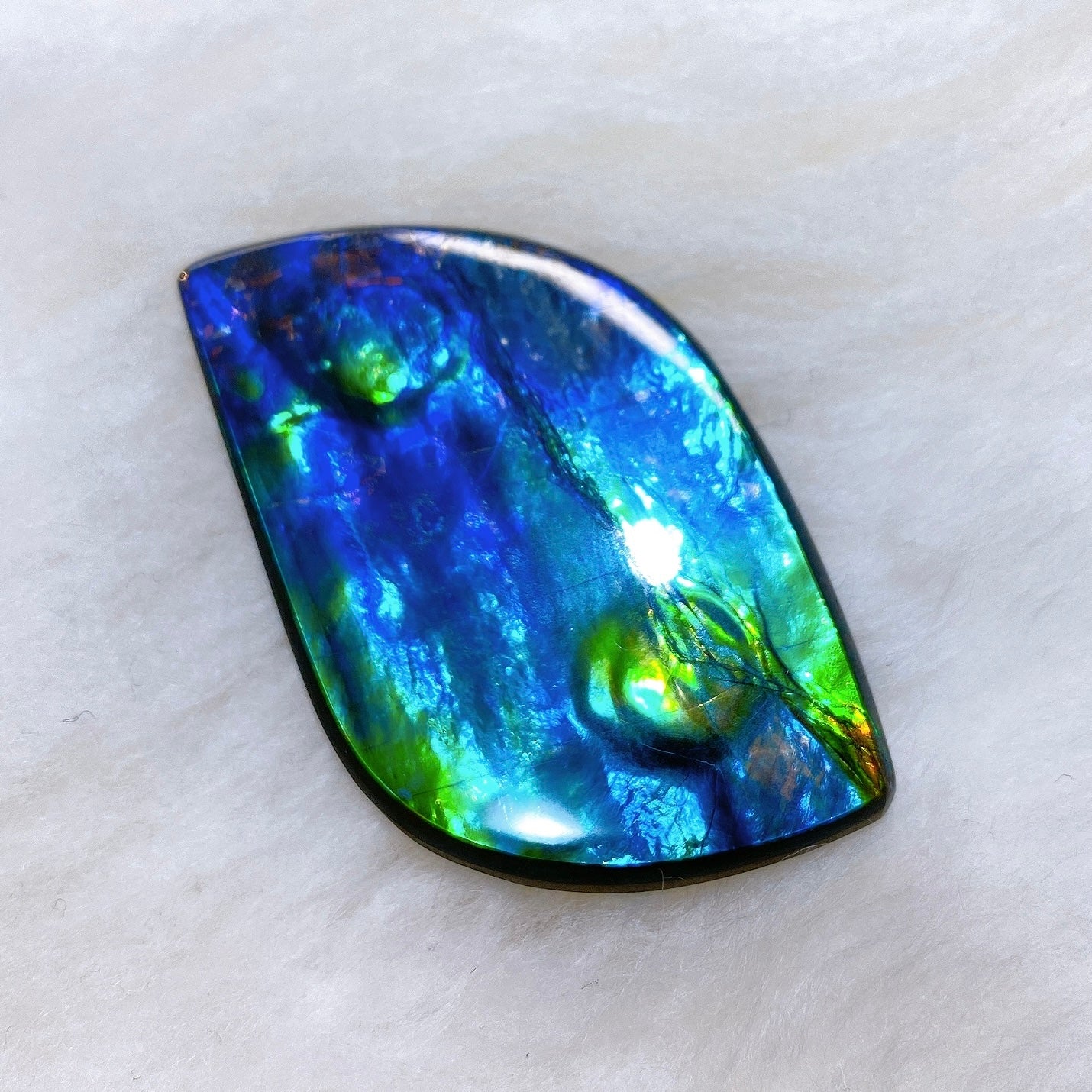 Masterpiece – Ammolite Museum