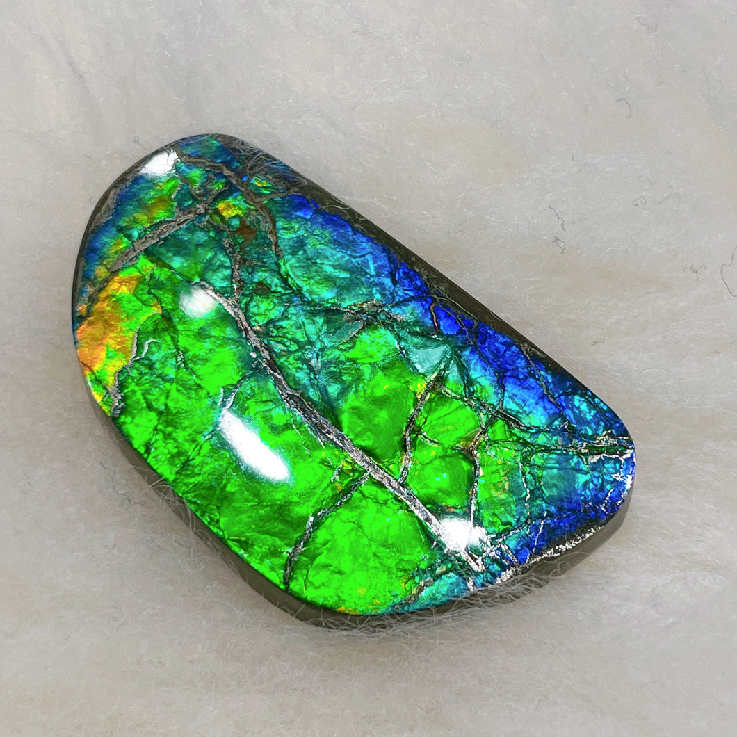 Freeform Ammolite Gemstone FNCA22406