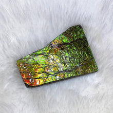 Load image into Gallery viewer, Ammolite Hand Specimens FNGS2237
