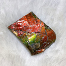Load image into Gallery viewer, Ammolite Hand Specimens FNGS2230
