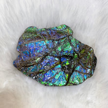 将图片加载到图库查看器，Ammolite Hand Specimens FNGS2232
